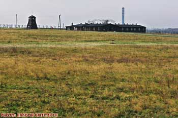 IMG_ (10765)